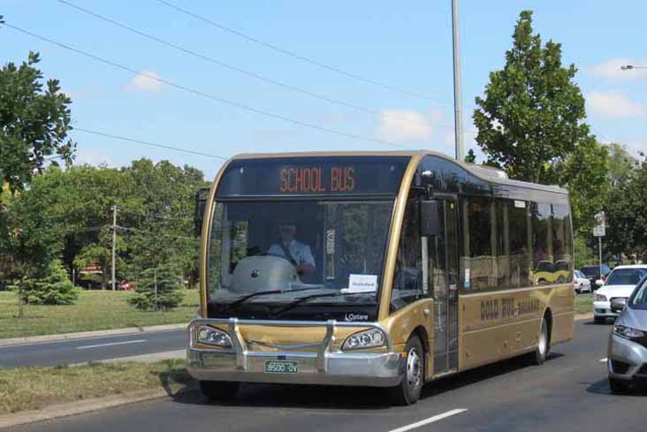 Gold Bus Optare Solo SR 11